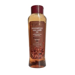 SHAMPOO CON CAFE AMYELUZ